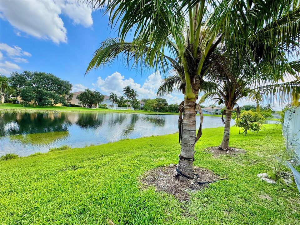 最近租的: $7,000 (4 贝兹, 3 浴室, 3120 平方英尺)