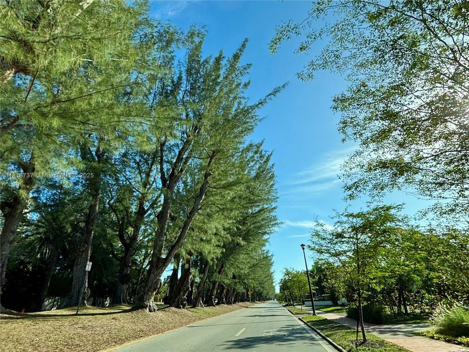 Недавно продано: $178,000 (1 спален, 1 ванн, 500 Квадратных фут)