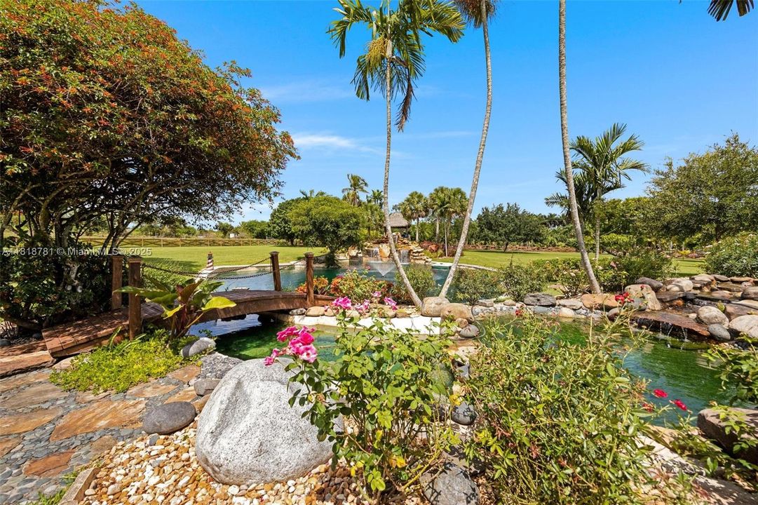 Koi Pond with bridge