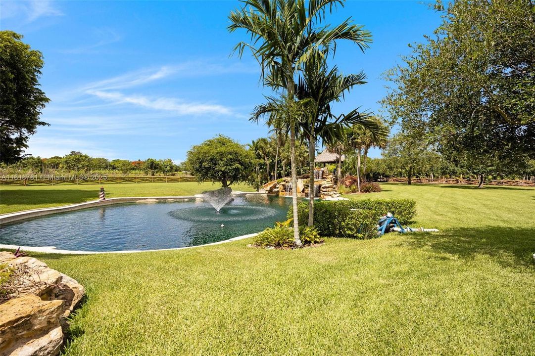 Freeform natural pool