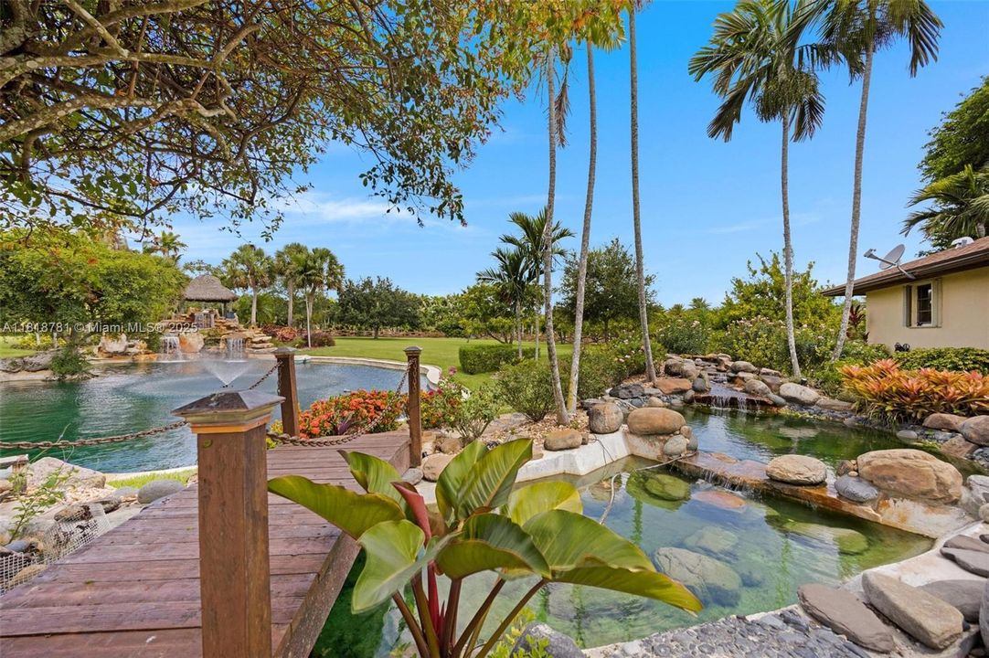 Koi Pond with bridge