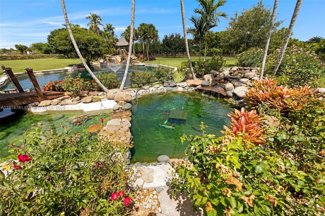 Koi Pond with bridge