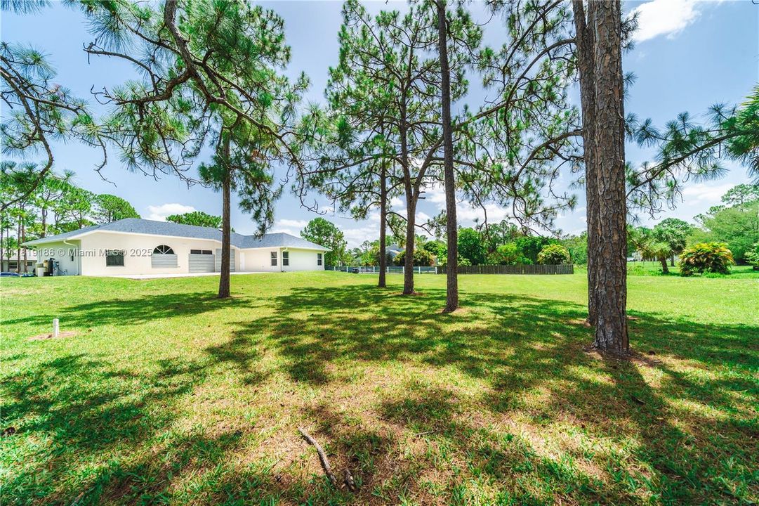 Large Backyard Over an Acre of Land