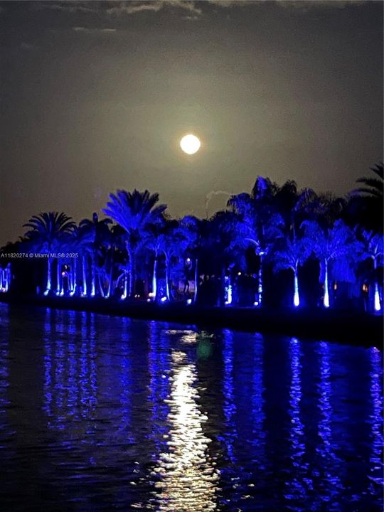 待售: $249,999 (0.08 acres)