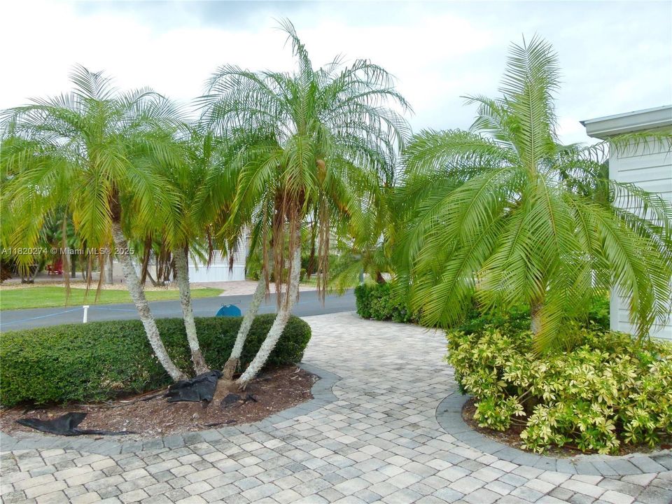 待售: $249,999 (0.08 acres)