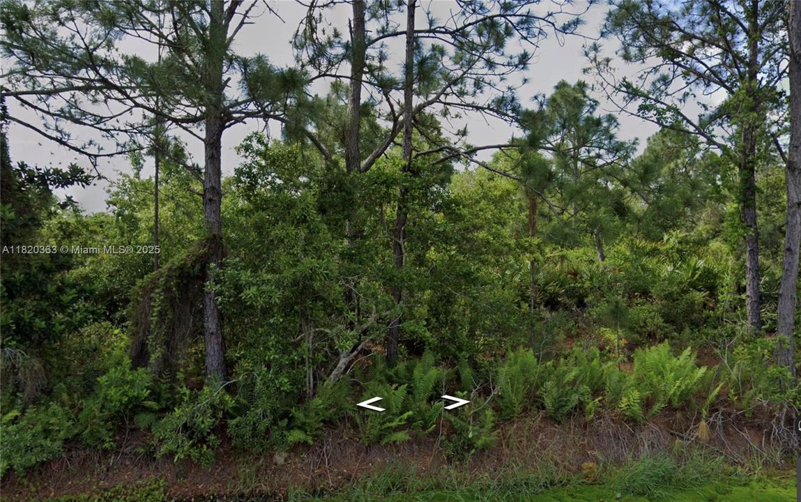 待售: $36,500 (0.69 acres)