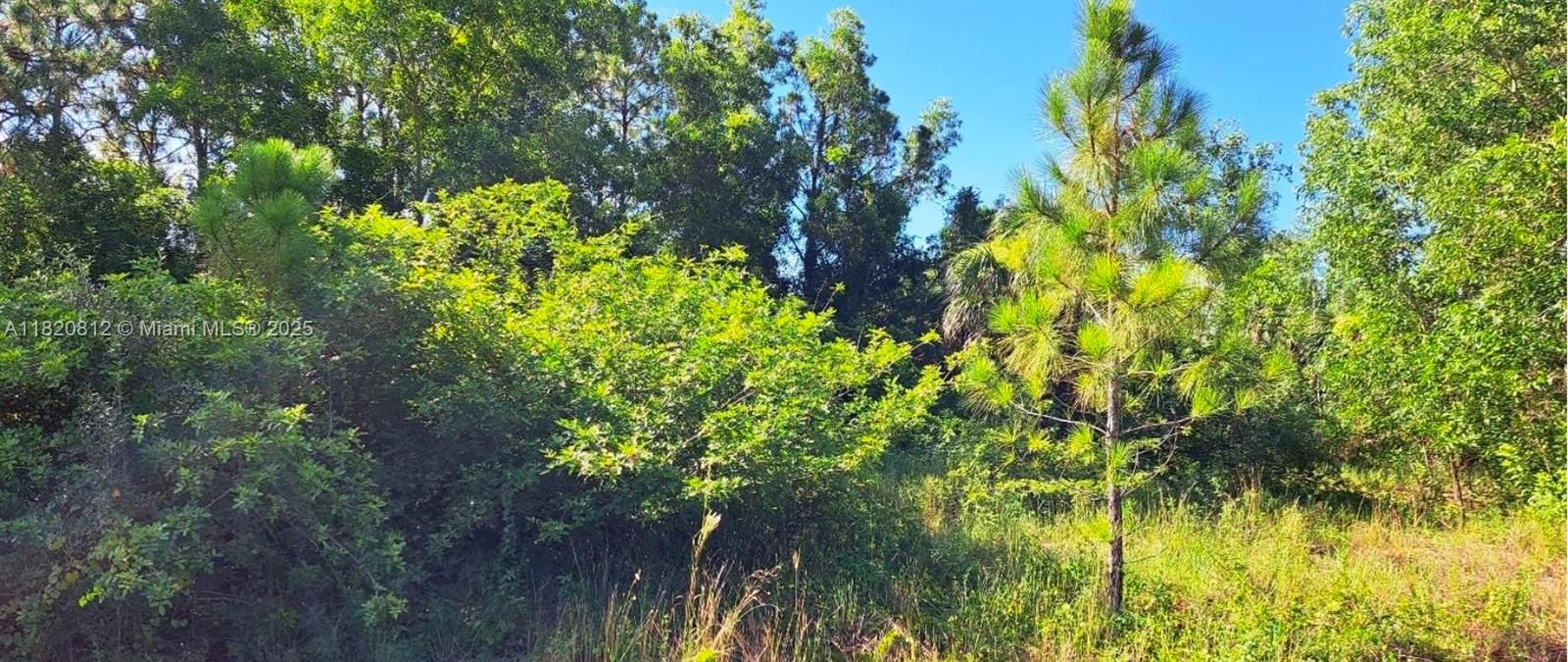 En Venta: $39,000 (0 camas, 0 baños, 0 Pies cuadrados)