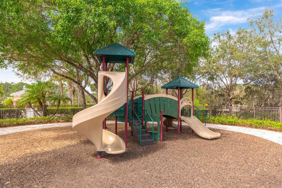 Canopy Creek Stock Photos-18