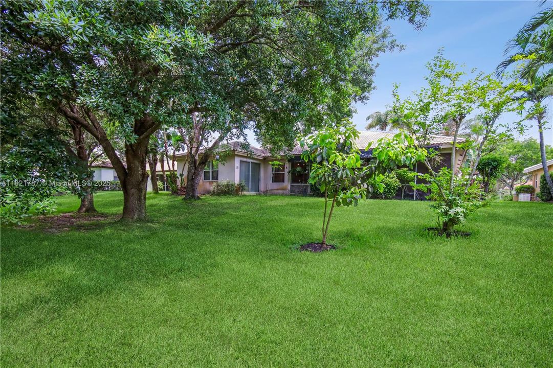 Spacious yard for kids to play with great trees for shady spots to enjoy.