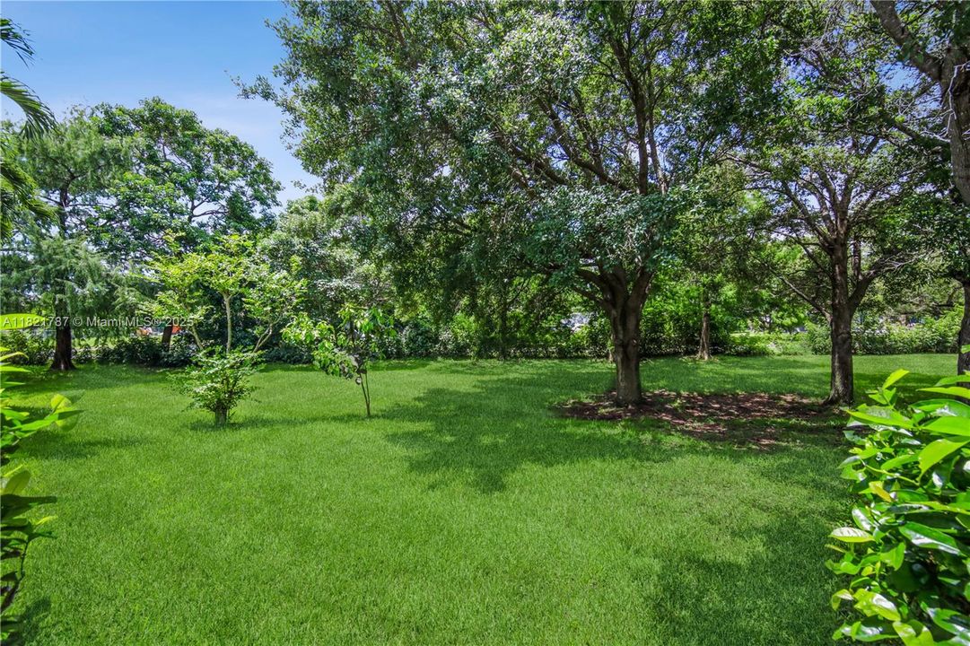 Spacious yard for kids to play with great trees for shady spots to enjoy.