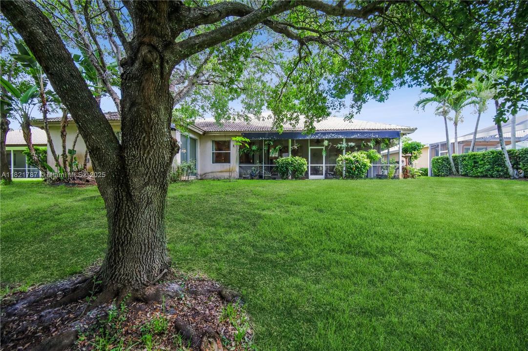 Spacious yard for kids to play with great trees for shady spots to enjoy.