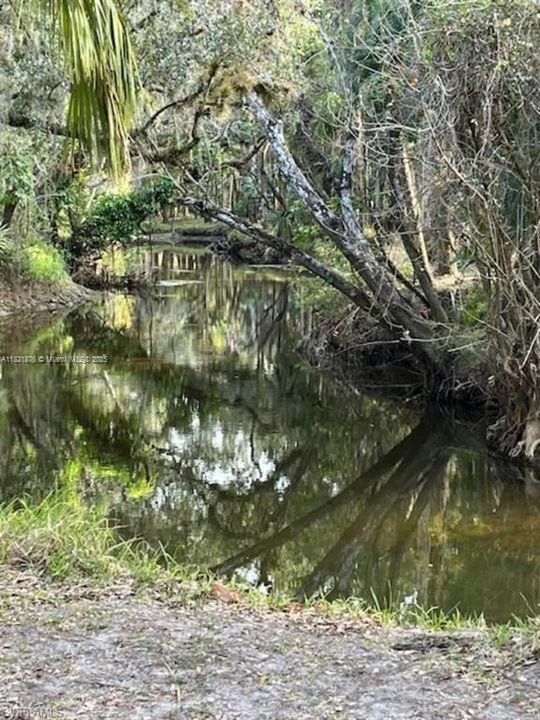 Под контрактом: $219,900 (2 спален, 1 ванн, 0 Квадратных фут)