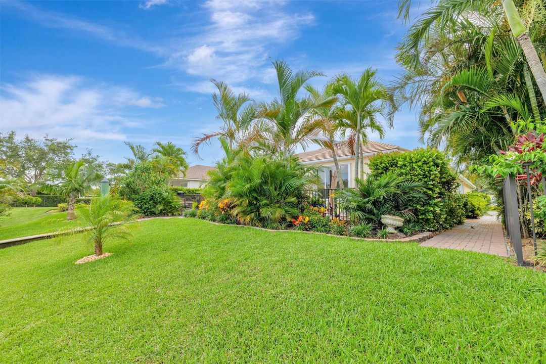 Back yard