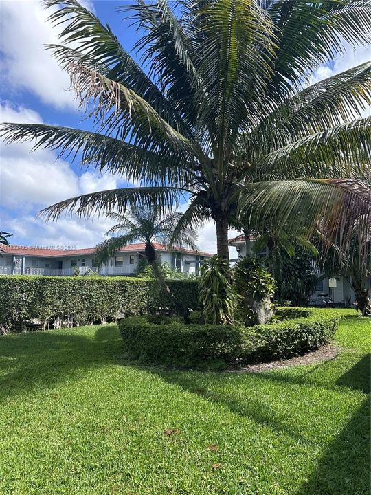 待售: $224,999 (2 贝兹, 1 浴室, 800 平方英尺)