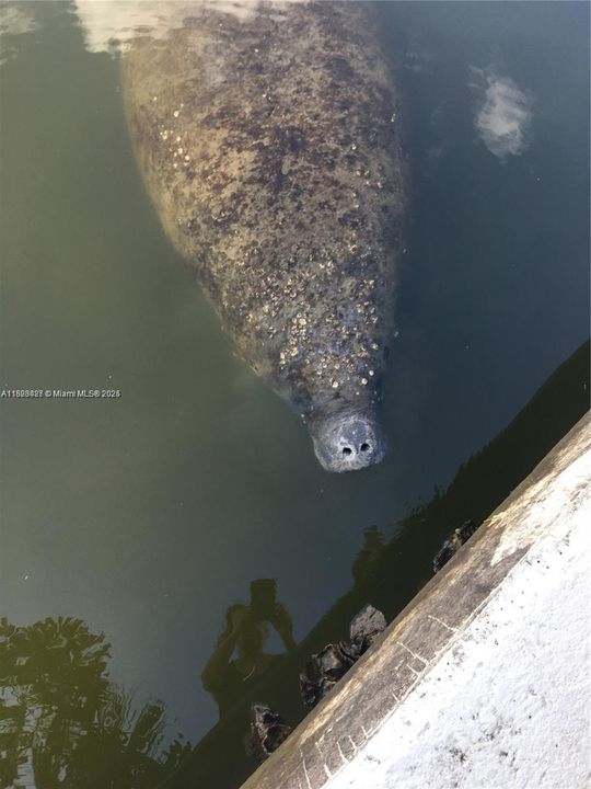 For Rent: $2,075 (2 beds, 2 baths, 1078 Square Feet)