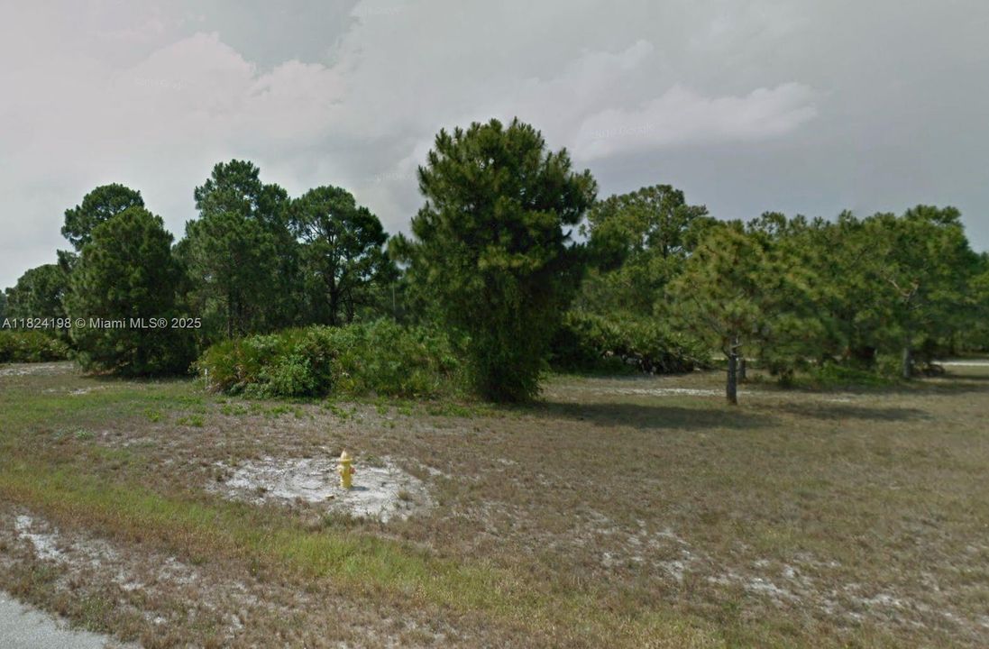 For Sale: $34,990 (0.25 acres)