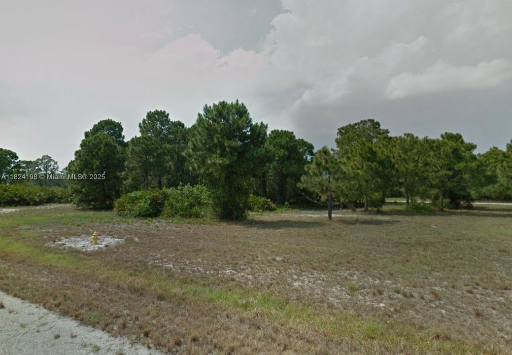 For Sale: $34,990 (0.25 acres)