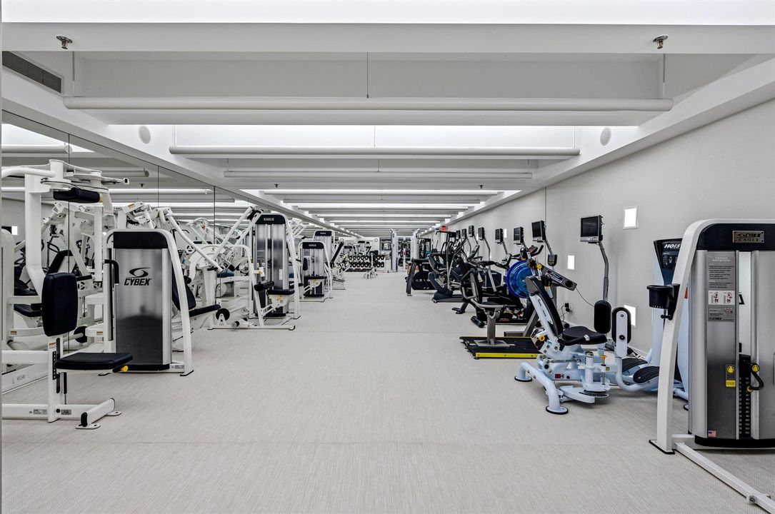 mls_GYM_DT
