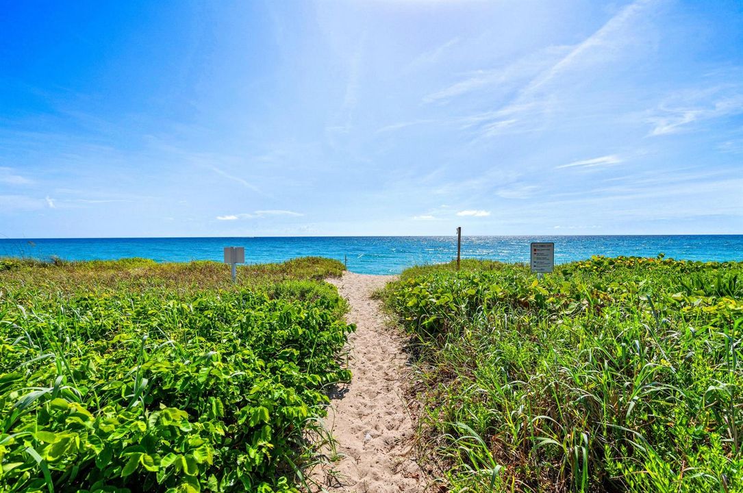 mls_BEACH_ACCESS_DT