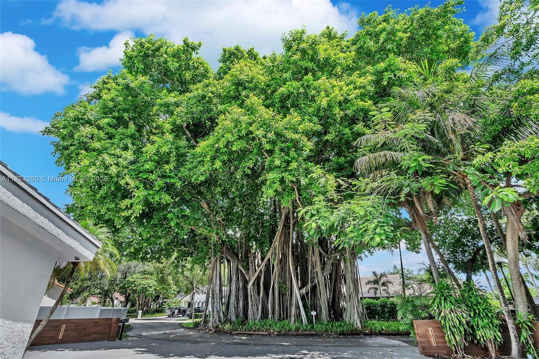 Vendido Recientemente: $3,600,000 (7 camas, 5 baños, 4755 Pies cuadrados)