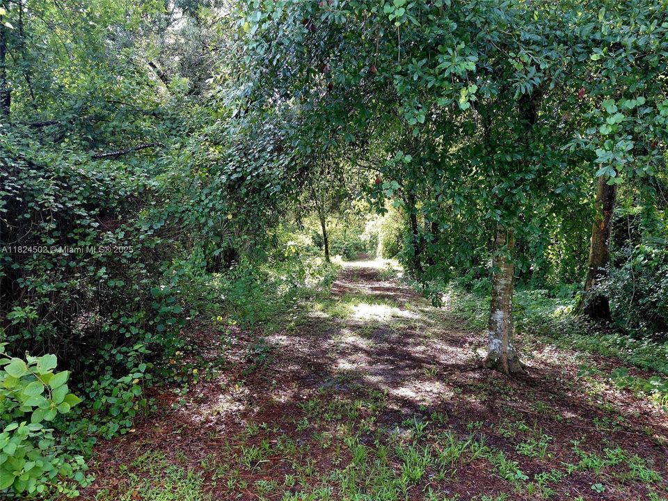 For Sale: $599,900 (4 beds, 2 baths, 2432 Square Feet)