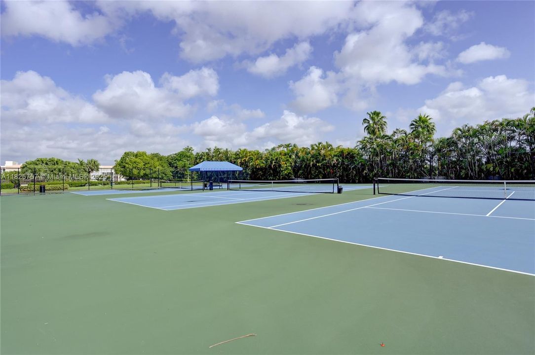 TENNIS COURTS