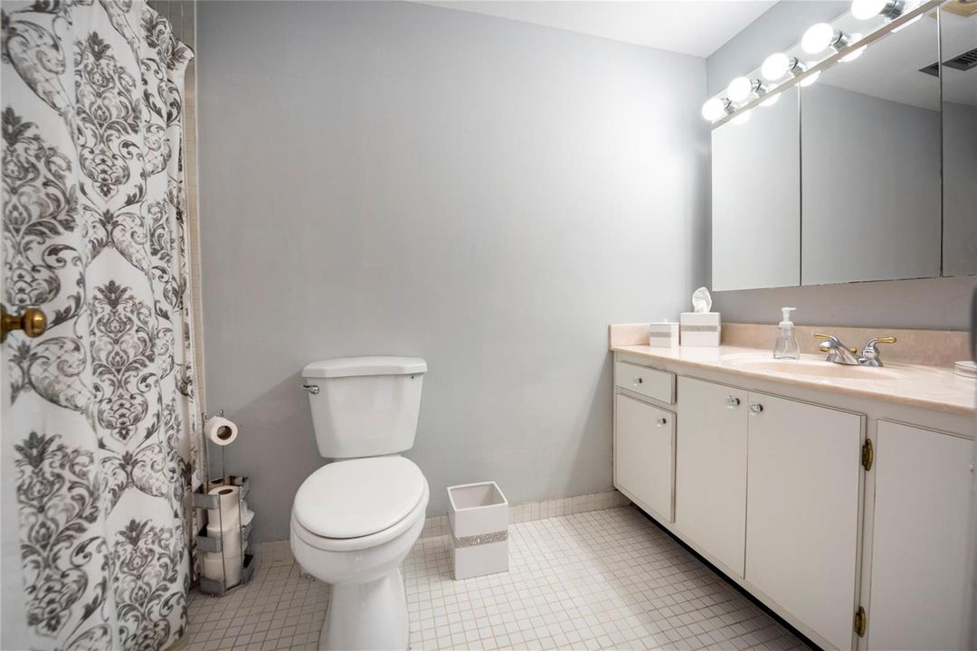 Master Bath - Tub Shower Combo