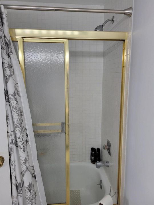 Master Bath - Tub / Shower
