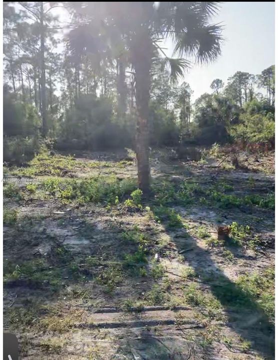 На продажу: $20,500 (0.24 acres)