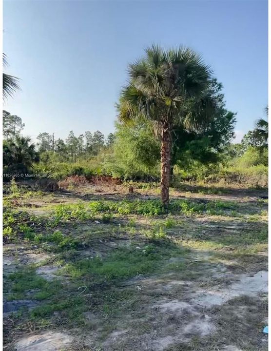 На продажу: $20,500 (0.24 acres)