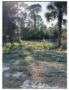 На продажу: $20,500 (0.24 acres)