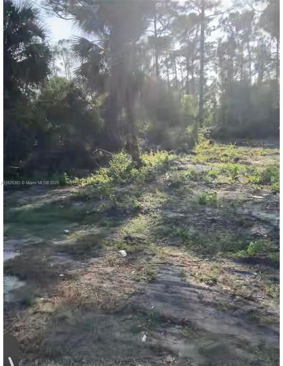 На продажу: $20,500 (0.24 acres)