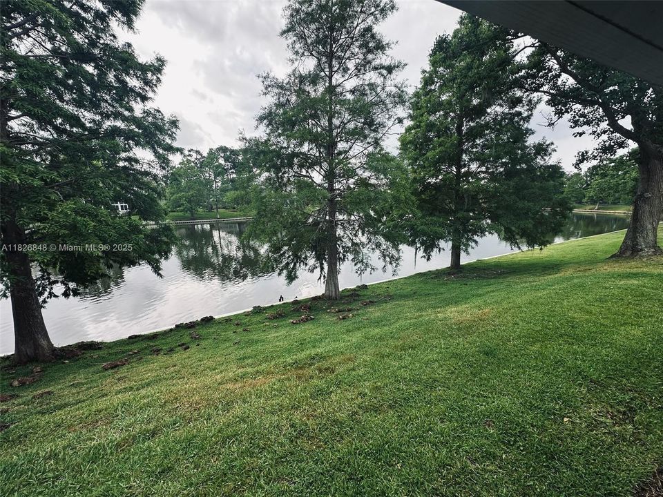 待售: $350,000 (3 贝兹, 2 浴室, 0 平方英尺)