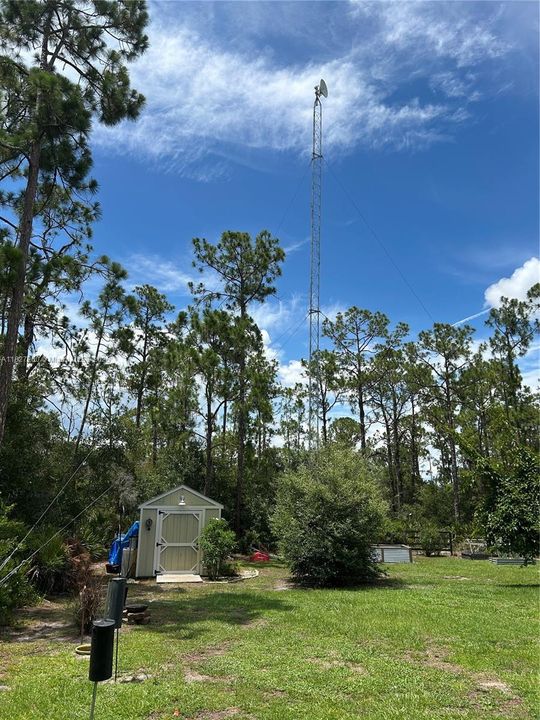 Orchid Arbor all Cedar Wood