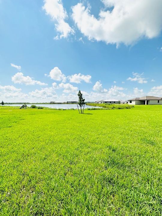 For Sale: $450,000 (4 beds, 3 baths, 0 Square Feet)