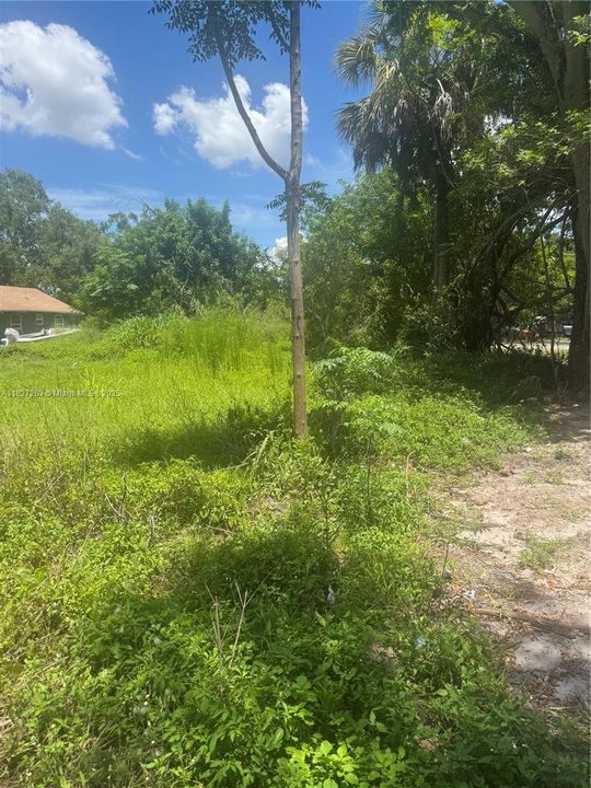 En Venta: $78,000 (0.05 acres)