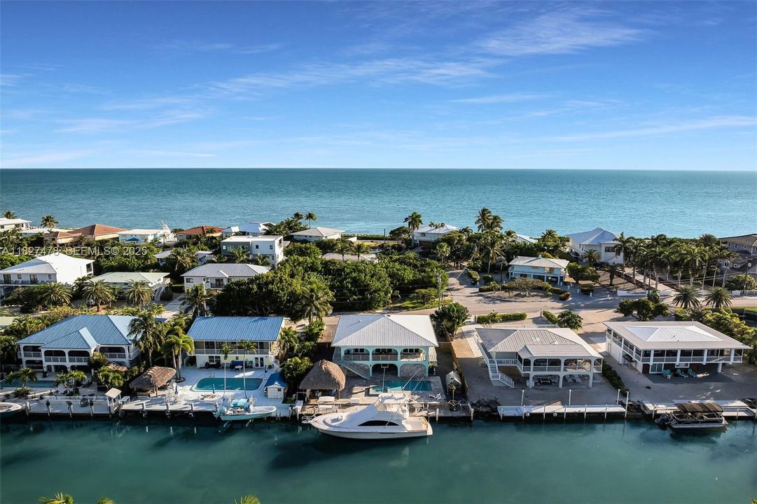 出租: $10,000 (3 贝兹, 3 浴室, 1596 平方英尺)