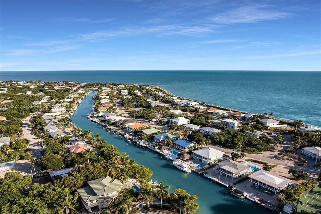 出租: $10,000 (3 贝兹, 3 浴室, 1596 平方英尺)