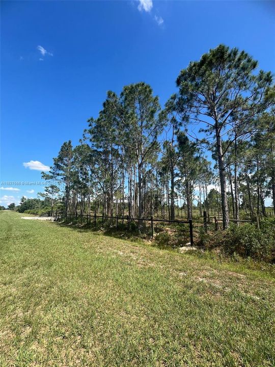 Active With Contract: $48,999 (1.25 acres)
