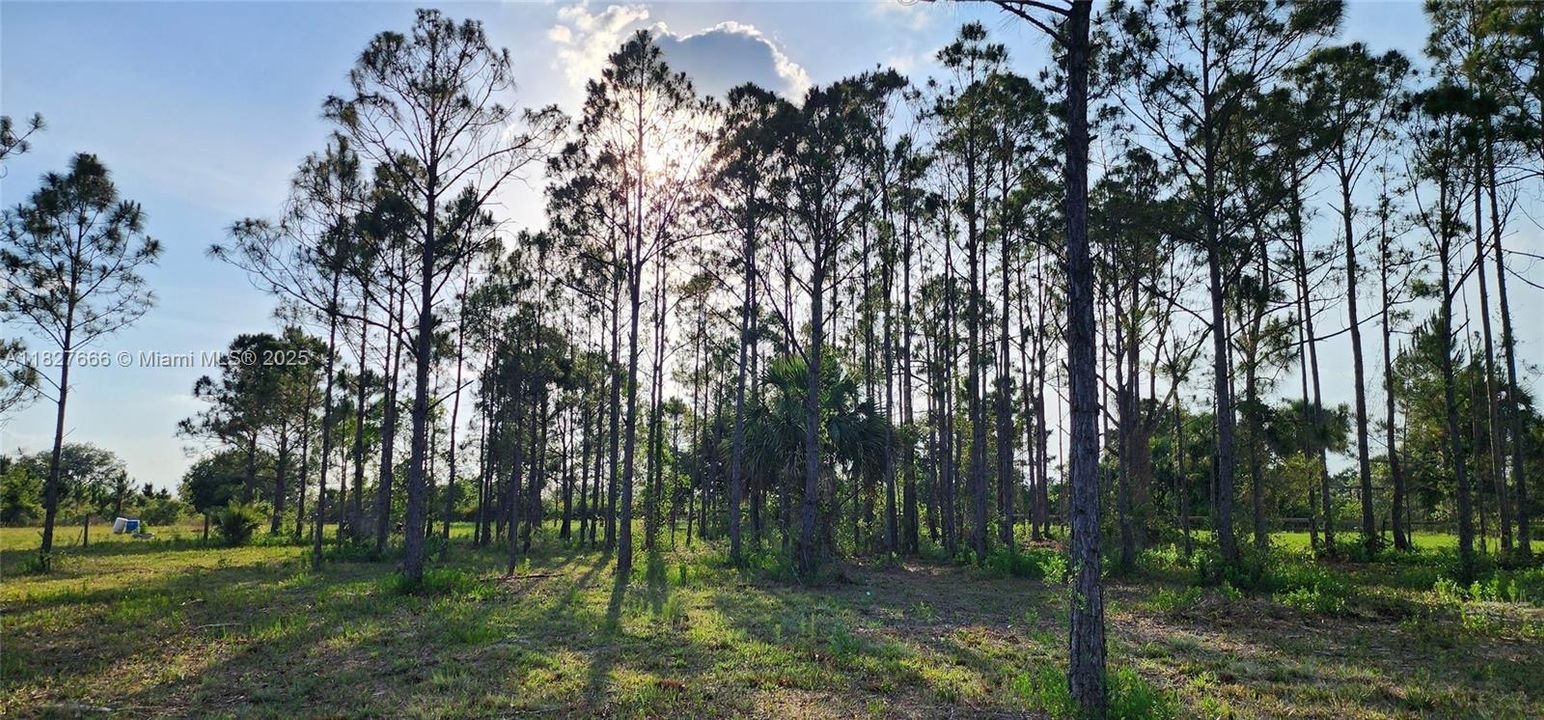 Active With Contract: $48,999 (1.25 acres)