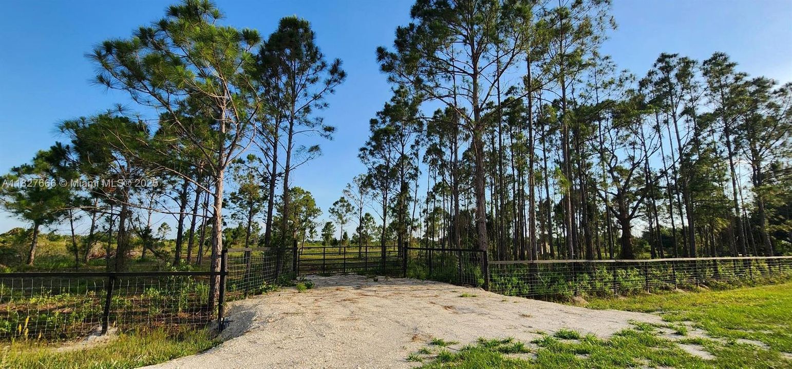 Active With Contract: $48,999 (1.25 acres)