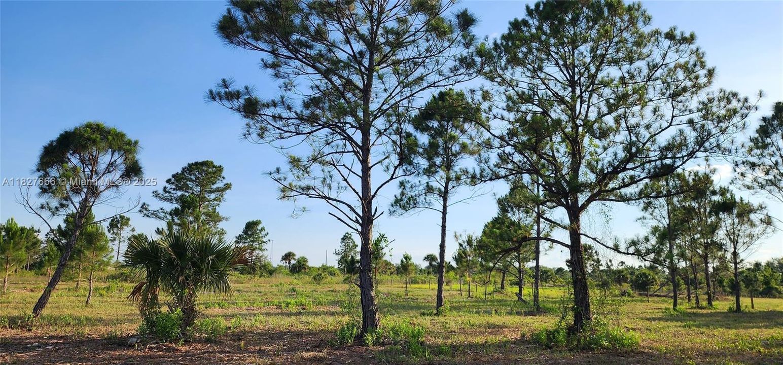 Active With Contract: $48,999 (1.25 acres)