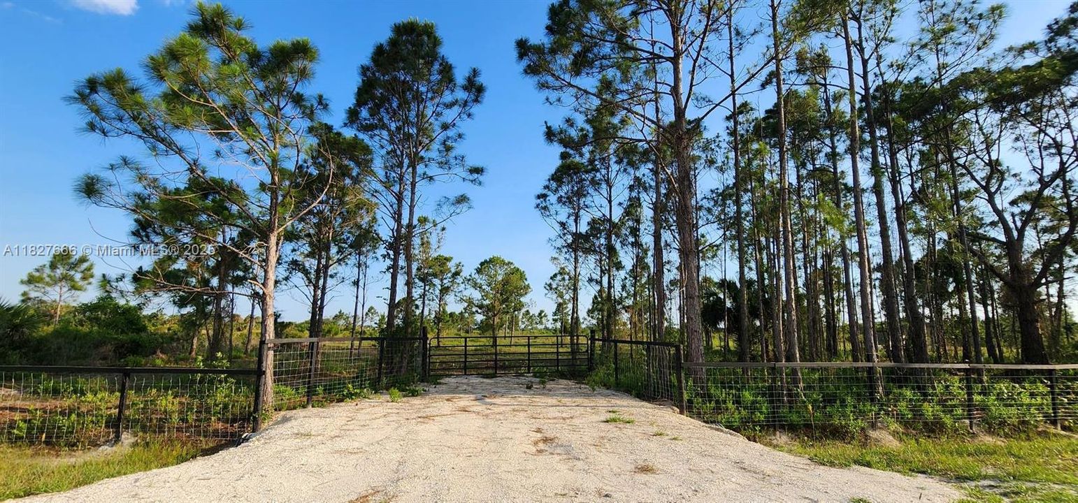 Active With Contract: $48,999 (1.25 acres)
