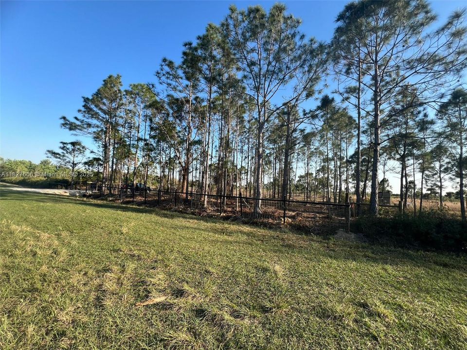 Active With Contract: $48,999 (1.25 acres)