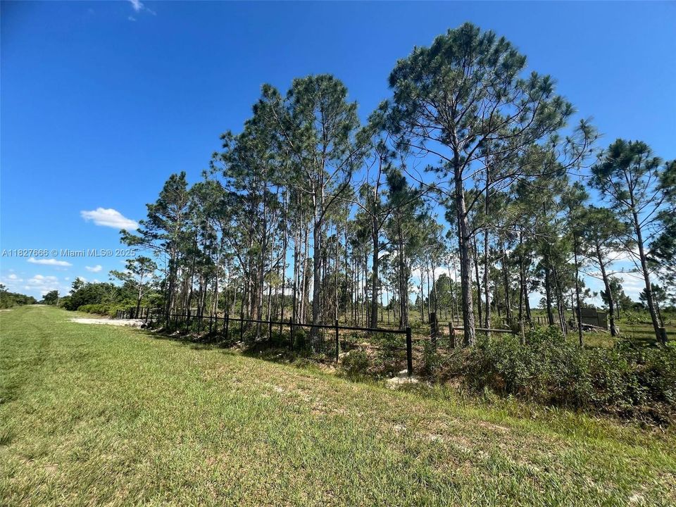 Active With Contract: $48,999 (1.25 acres)