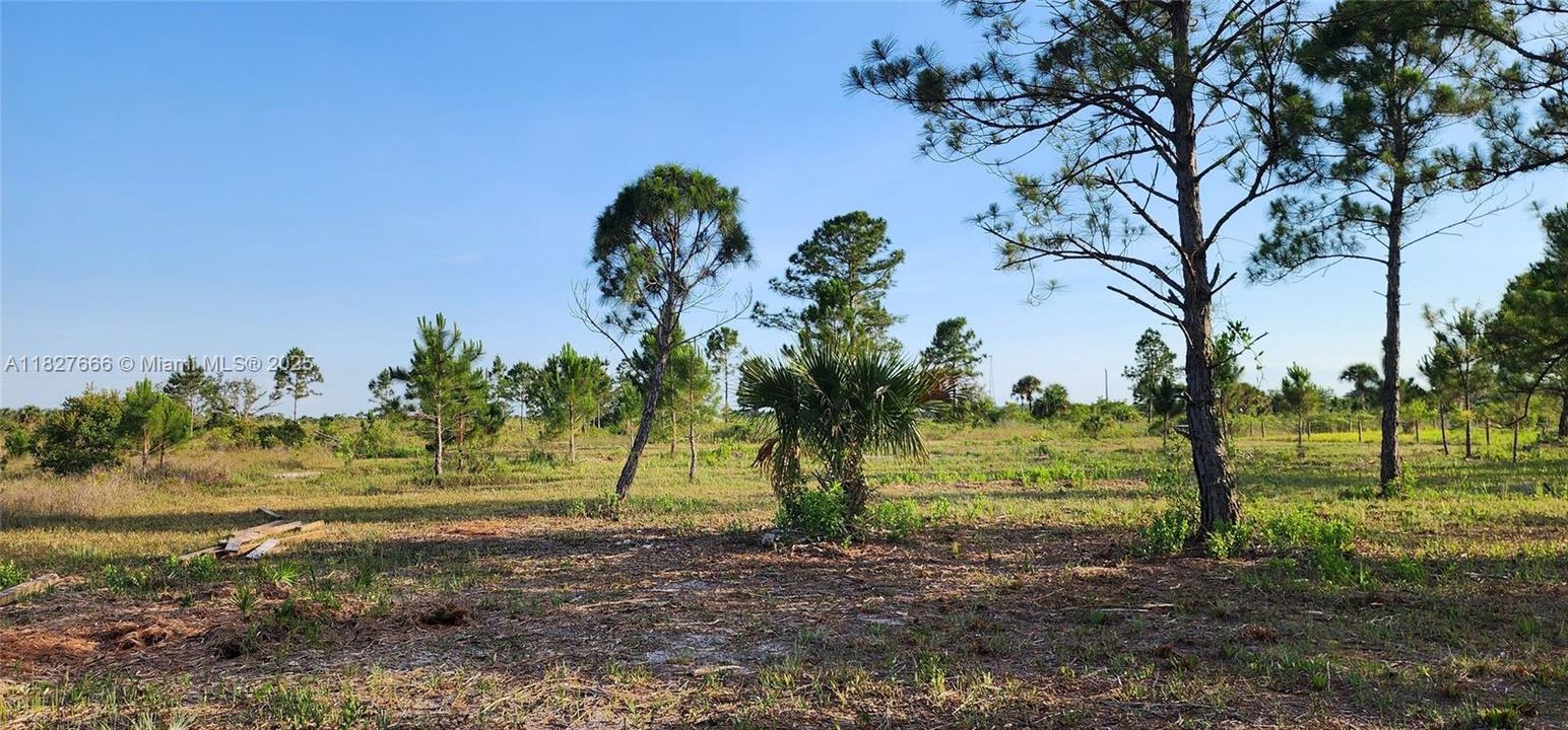 Active With Contract: $48,999 (1.25 acres)