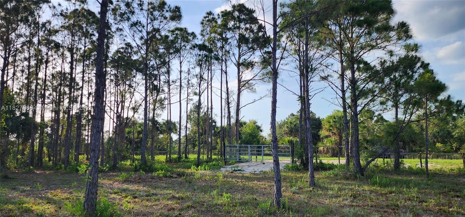 Active With Contract: $48,999 (1.25 acres)