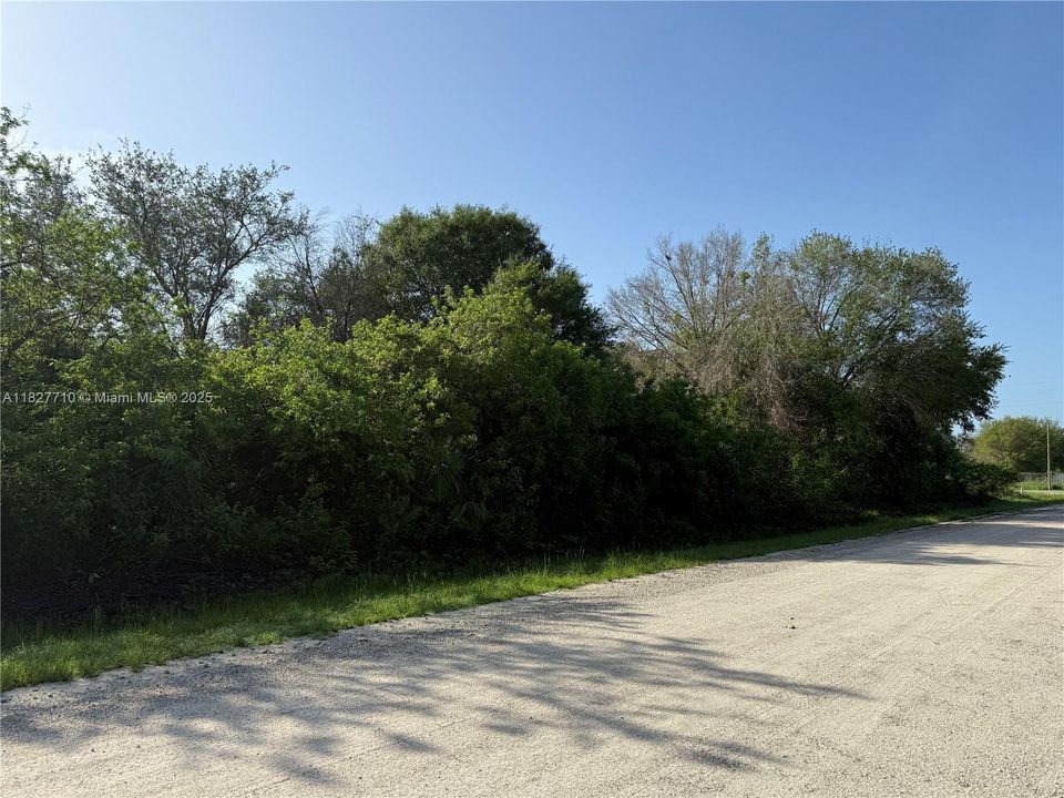 Recently Sold: $57,000 (1.25 acres)