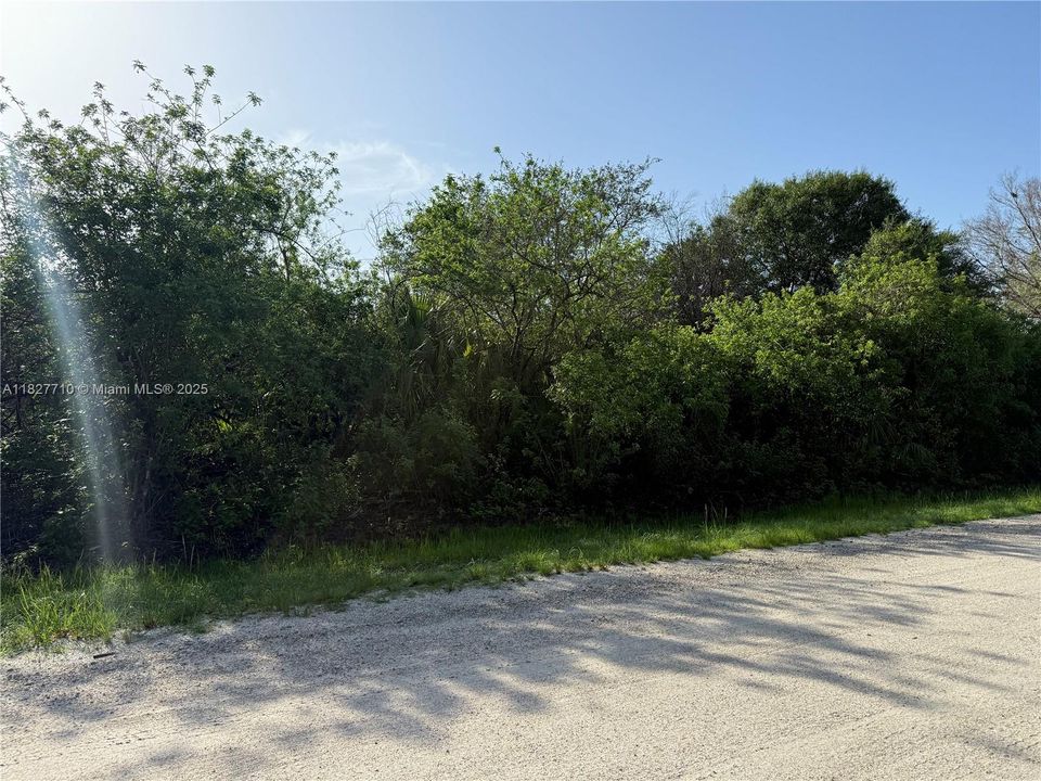Recently Sold: $57,000 (1.25 acres)