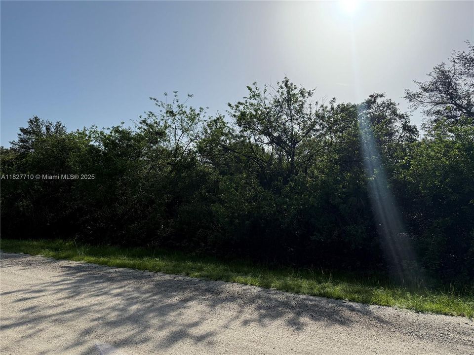 Recently Sold: $57,000 (1.25 acres)